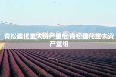 青松建化重大资产重组,青松建化重大资产重组