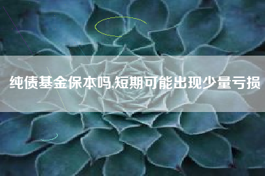 纯债基金保本吗,短期可能出现少量亏损