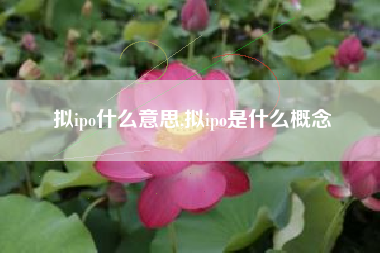 拟ipo什么意思,拟ipo是什么概念