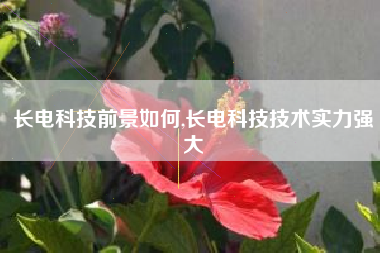 长电科技前景如何,长电科技技术实力强大