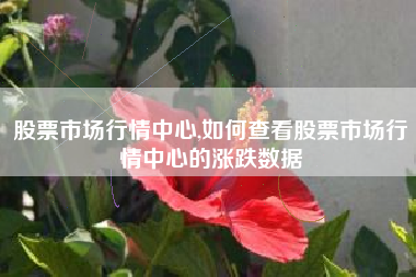 股票市场行情中心,如何查看股票市场行情中心的涨跌数据