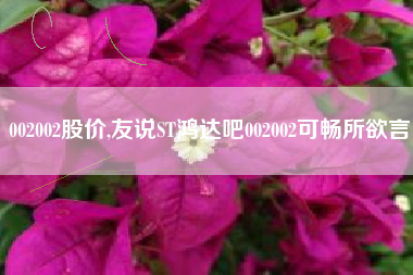 002002股价,友说ST鸿达吧002002可畅所欲言