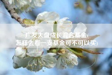 广发大盘成长混合基金(
怎样去看一支基金可不可以买) 广发大盘成长混合基金(
怎样去看一支基金可不可以买)