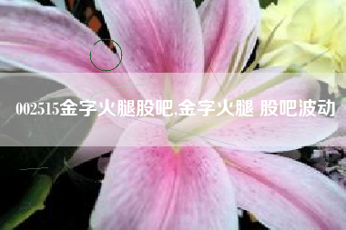 002515金字火腿股吧,金字火腿 股吧波动