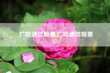 广哈通信股票,广哈通信股票