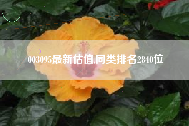 003095最新估值,同类排名2840位