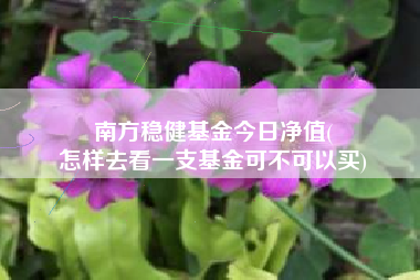 南方稳健基金今日净值(
怎样去看一支基金可不可以买)