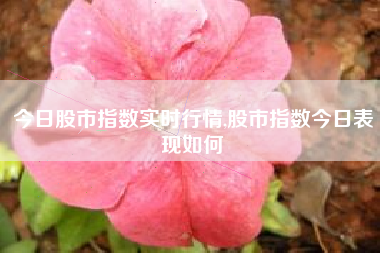 今日股市指数实时行情,股市指数今日表现如何