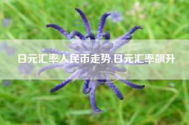 日元汇率人民币走势,日元汇率飙升