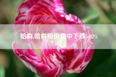 哈森,哈森股份盘中下跌5.02%