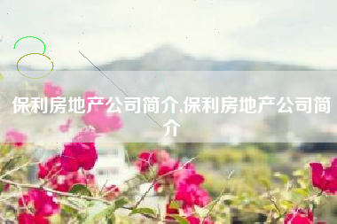 保利房地产公司简介,保利房地产公司简介