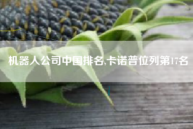 机器人公司中国排名,卡诺普位列第17名