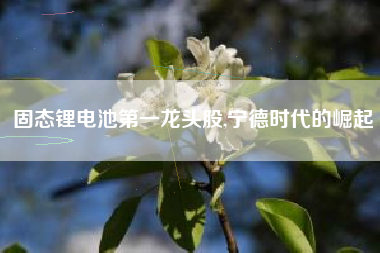 固态锂电池第一龙头股,宁德时代的崛起