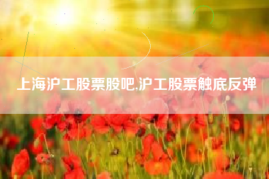 上海沪工股票股吧,沪工股票触底反弹