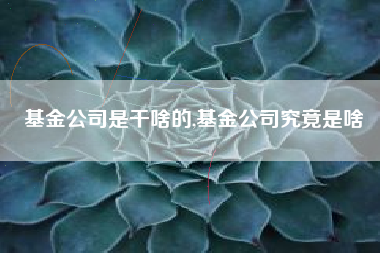 基金公司是干啥的,基金公司究竟是啥