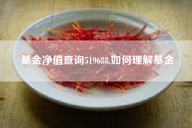 基金净值查询519688,如何理解基金
