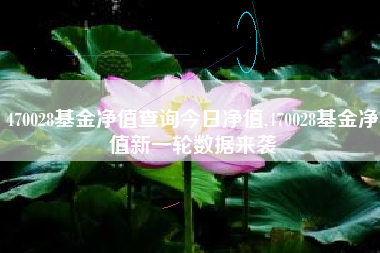 470028基金净值查询今日净值,470028基金净值新一轮数据来袭