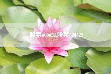 股票600622,股票600622
