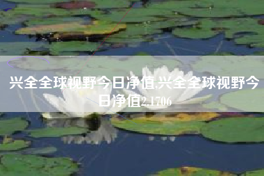 兴全全球视野今日净值,兴全全球视野今日净值2.1706