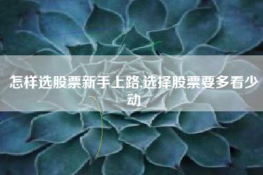 怎样选股票新手上路,选择股票要多看少动