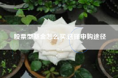 股票型基金怎么买,选择申购途径