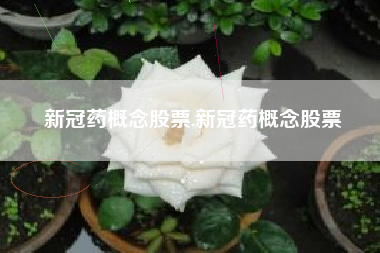 新冠药概念股票,新冠药概念股票