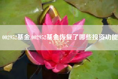 002952基金,002952基金恢复了哪些投资功能