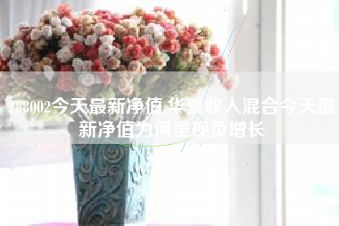 288002今天最新净值,华夏收入混合今天最新净值为何呈现负增长