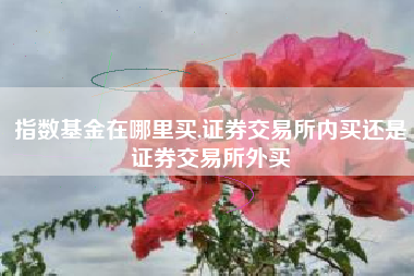 指数基金在哪里买,证券交易所内买还是证券交易所外买