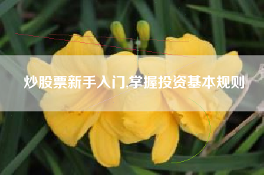 炒股票新手入门,掌握投资基本规则