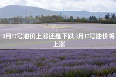 3月17号油价上涨还是下跌,3月17号油价将上涨
