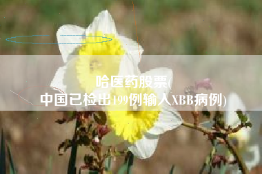 哈医药股票(
中国已检出199例输入XBB病例)