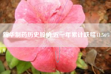 新华制药历史股价,近一年累计跌幅41.56%