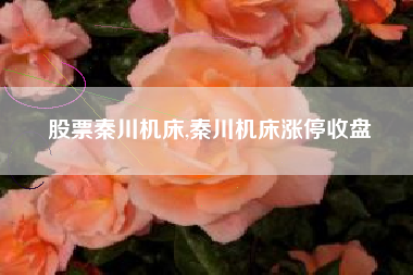 股票秦川机床,秦川机床涨停收盘