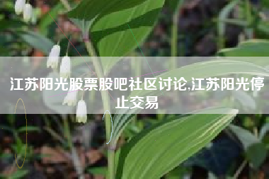 江苏阳光股票股吧社区讨论,江苏阳光停止交易