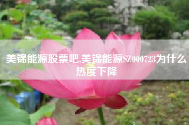 美锦能源股票吧,美锦能源SZ000723为什么热度下降