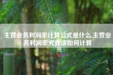 主营业务利润率计算公式是什么,主营业务利润率究竟该如何计算