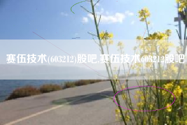 赛伍技术(603212)股吧,赛伍技术603212股吧