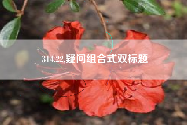 314.22,疑问组合式双标题