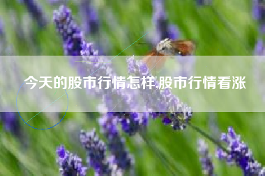 今天的股市行情怎样,股市行情看涨