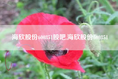 海欣股份600851股吧,海欣股份600851