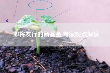 即将发行的新基金,专家观点解读