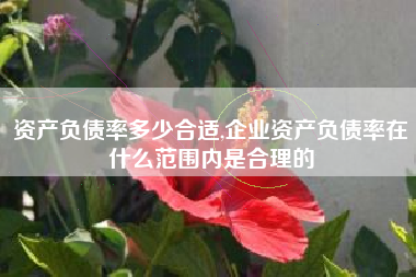 资产负债率多少合适,企业资产负债率在什么范围内是合理的