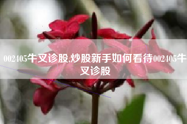 002405牛叉诊股,炒股新手如何看待002405牛叉诊股