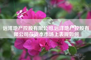 远洋地产控股有限公司,远洋地产控股有限公司在资本市场上表现如何