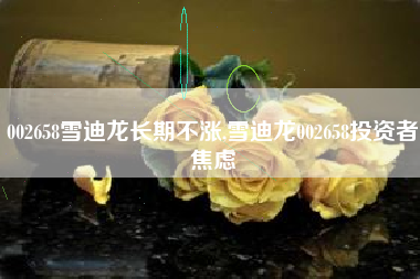 002658雪迪龙长期不涨,雪迪龙002658投资者焦虑