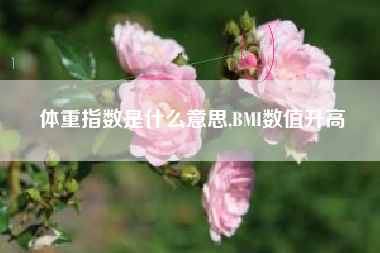 体重指数是什么意思,BMI数值升高
