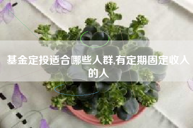 基金定投适合哪些人群,有定期固定收入的人