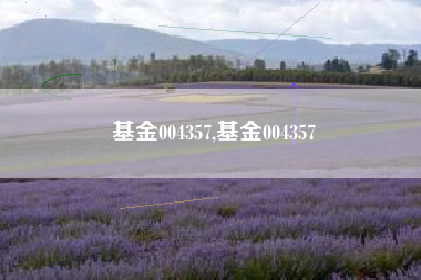 基金004357,基金004357