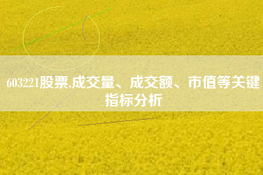 603221股票,成交量、成交额、市值等关键指标分析